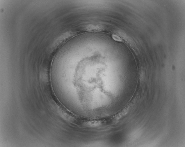 X0000062870353200601131447