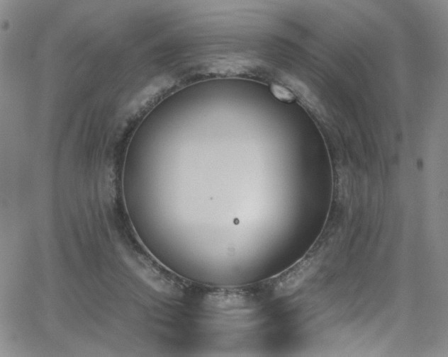 X0000062870354200601131447