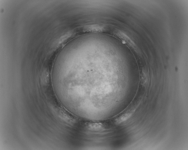 X0000062870355200601131447