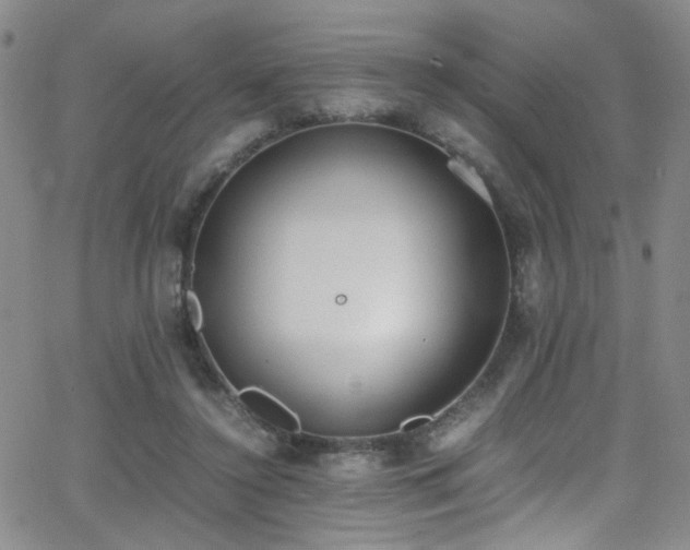 X0000062870356200601131447