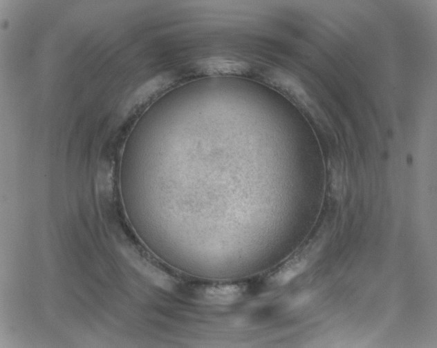 X0000062870357200601131447