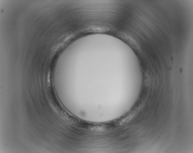 X0000062870358200601131447