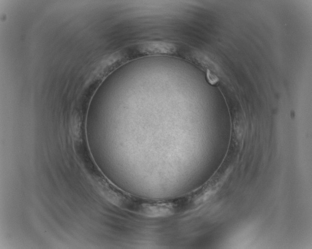 X0000062870359200601131447