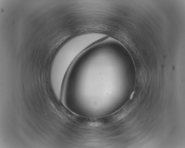 X0000062870360200601131447