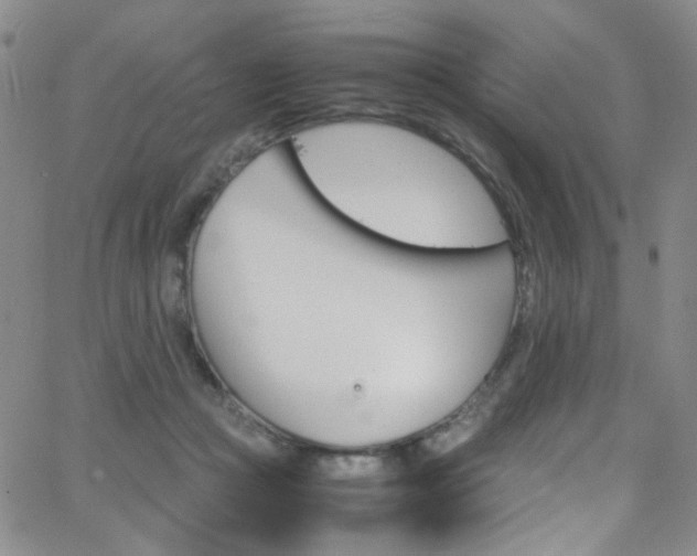 X0000062870361200601131447