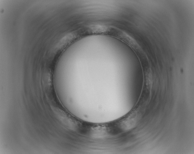 X0000062870362200601131447