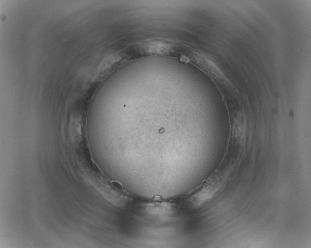 X0000062870363200601131447