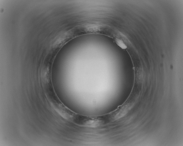 X0000062870364200601131447