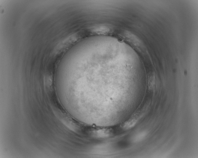 X0000062870365200601131447