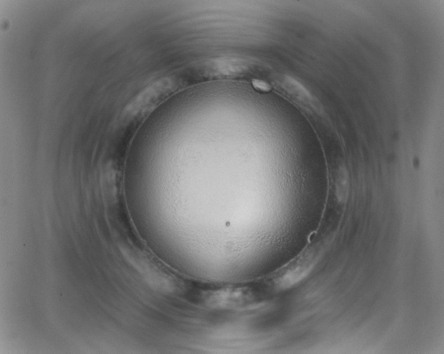 X0000062870366200601131447