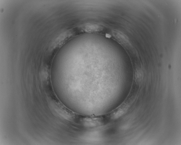 X0000062870367200601131447