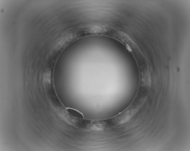 X0000062870368200601131447