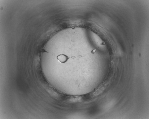 X0000062870369200601131447