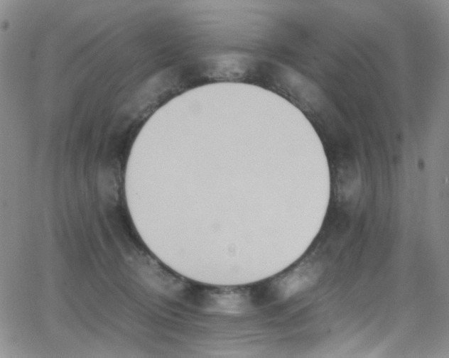 X0000062870370200601131447