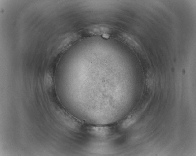 X0000062870371200601131447