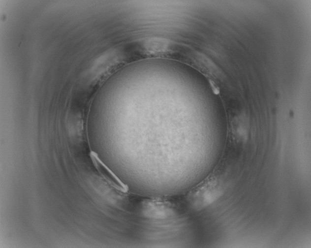 X0000062870372200601131447