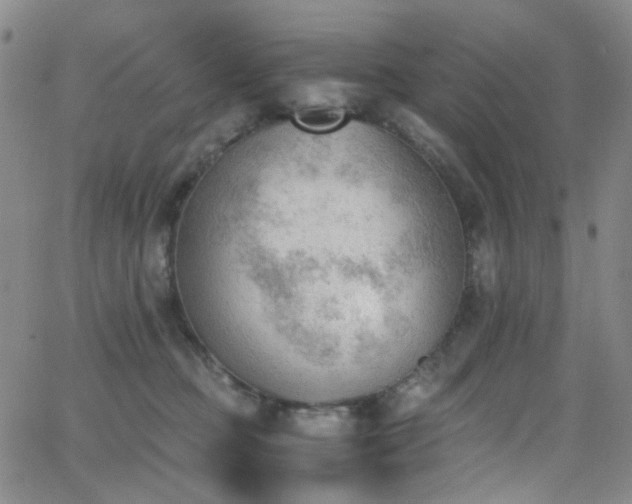 X0000062870373200601131447