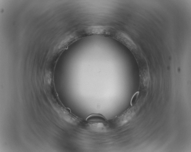 X0000062870374200601131447