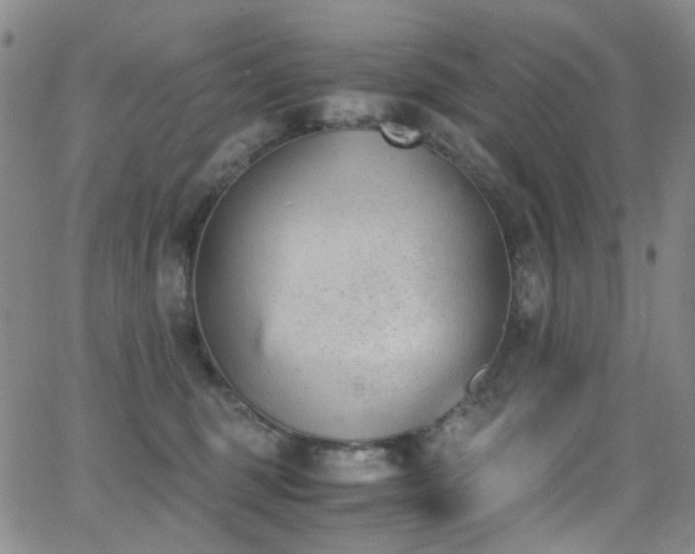 X0000062870375200601131447