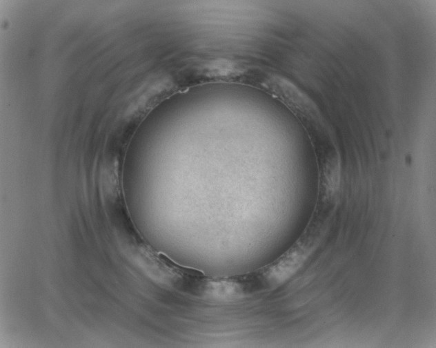 X0000062870376200601131447