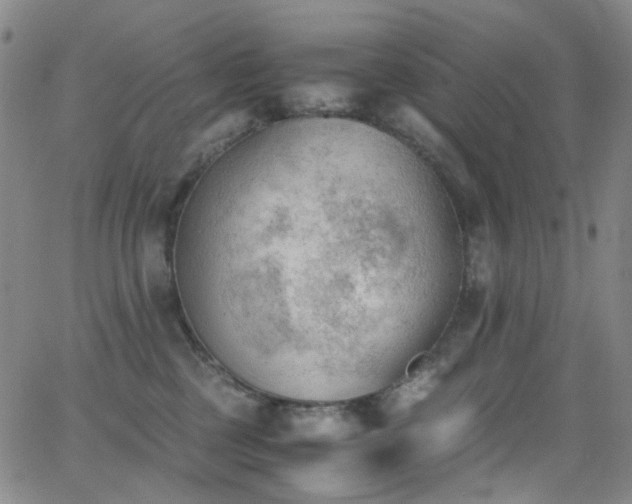 X0000062870377200601131447