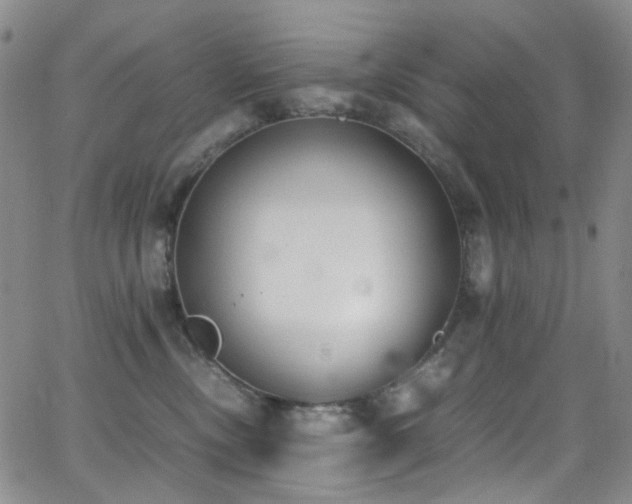 X0000062870378200601131447