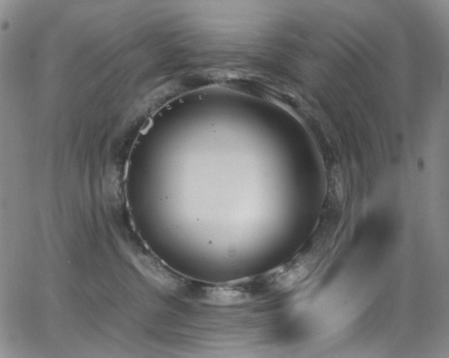 X0000062870380200601131447