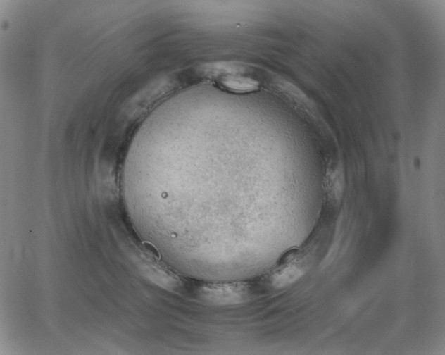 X0000062870381200601131448