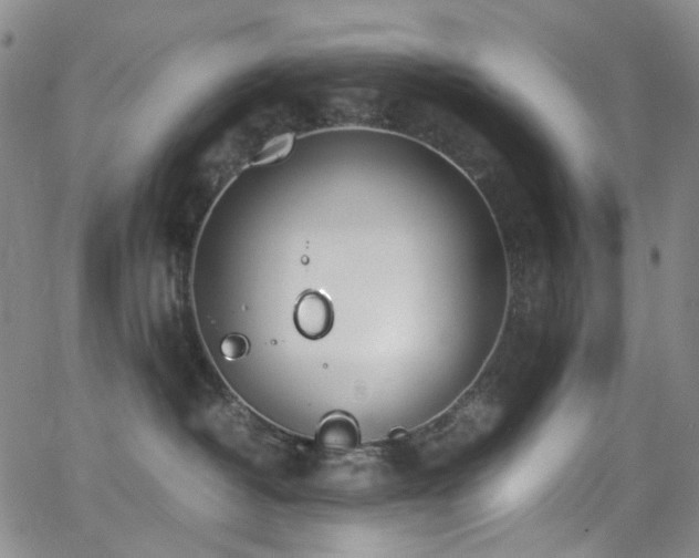 X0000062870382200601131448