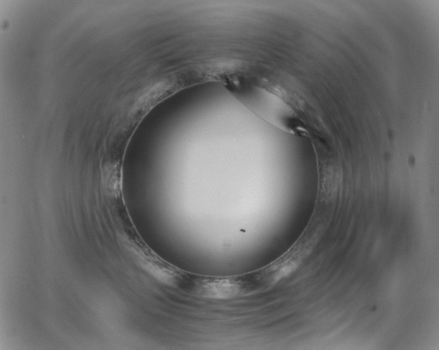 X0000062870383200601131448