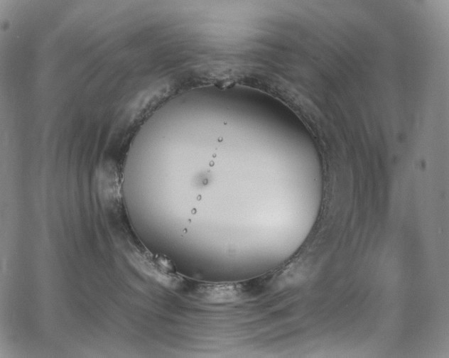 X0000062870384200601131448