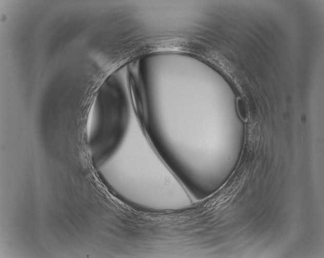 X0000062870385200601131447