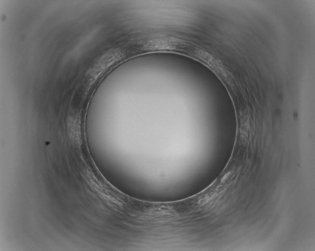 X0000062870386200601131447