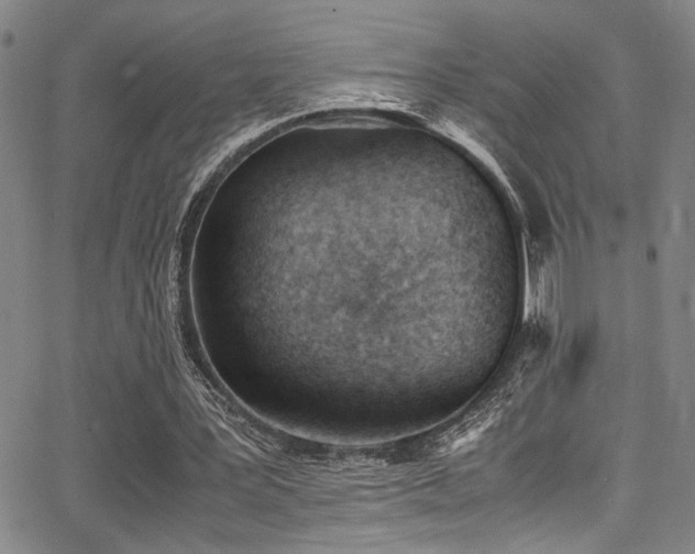 X0000062870387200601131447