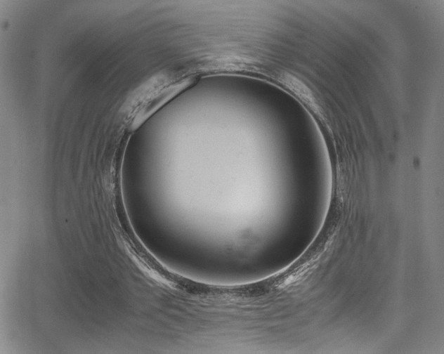 X0000062870389200601131447