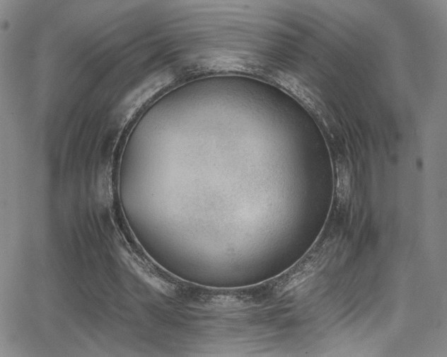 X0000062870390200601131447