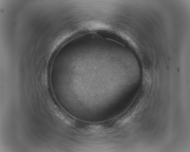 X0000062870391200601131447