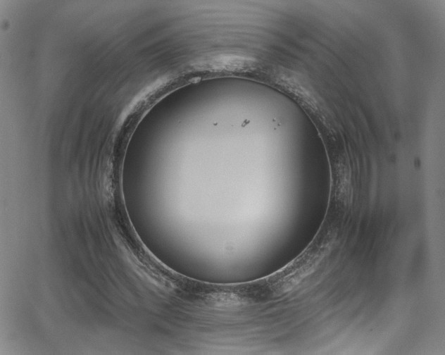 X0000062870392200601131447