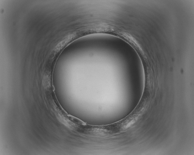 X0000062870393200601131447