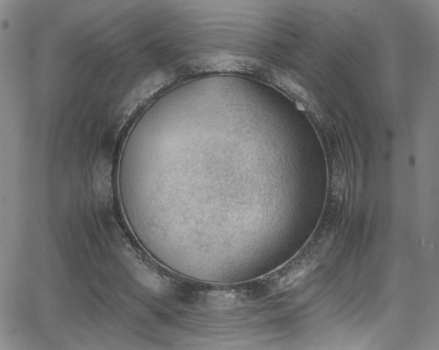 X0000062870394200601131447