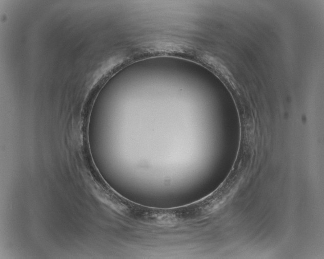 X0000062870395200601131447