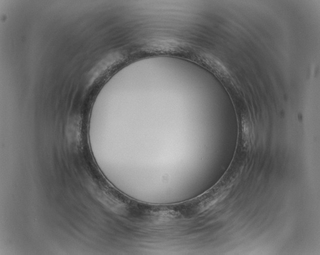 X0000062870396200601131447