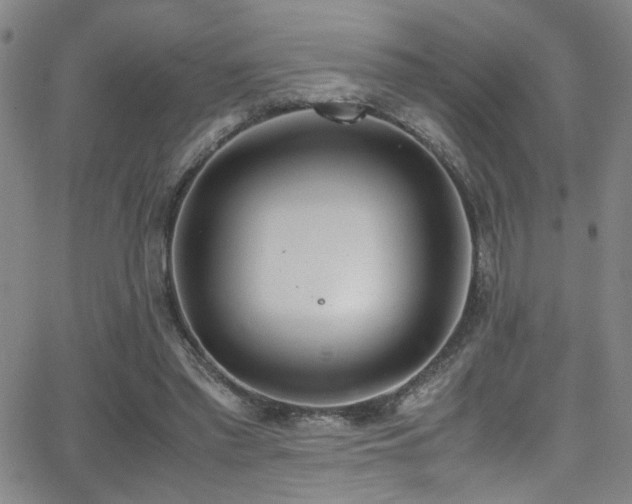 X0000062870397200601131447