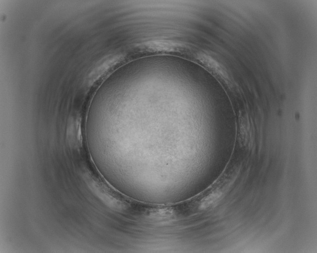 X0000062870398200601131447