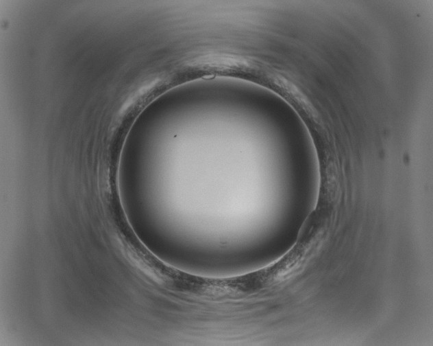 X0000062870399200601131447