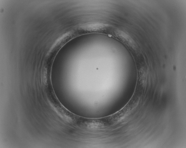 X0000062870400200601131447