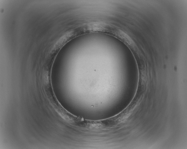 X0000062870401200601131446