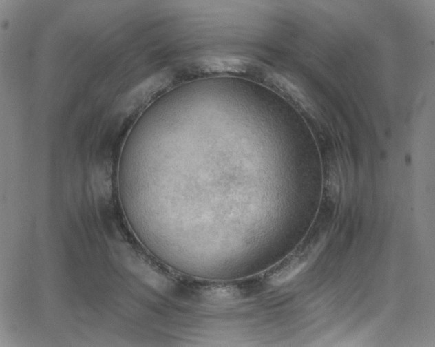 X0000062870402200601131446