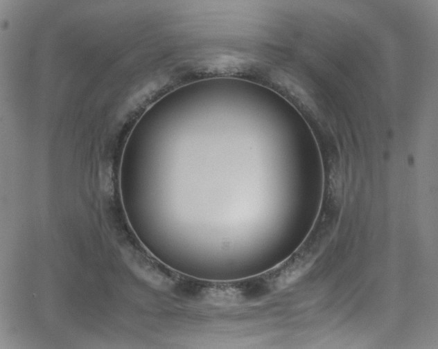 X0000062870403200601131446