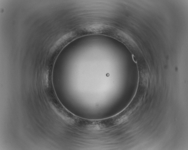 X0000062870404200601131446